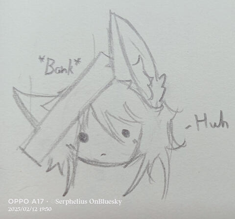 bonk